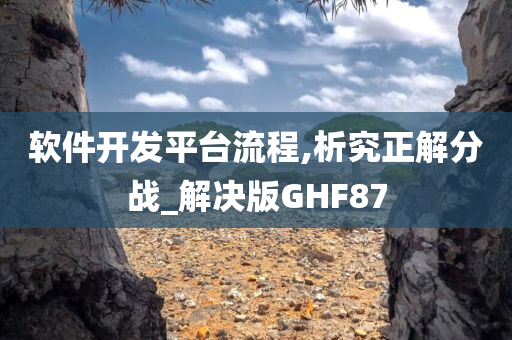 软件开发平台流程,析究正今晚必出三肖2025_2025新澳门精准免费提供·精确判断解分战_解决版GHF87