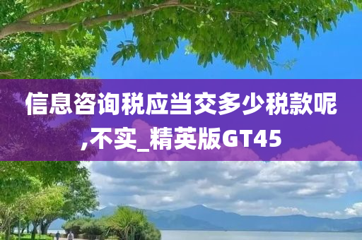 信息咨询税应当交多少税款呢,不实_精英版GT45