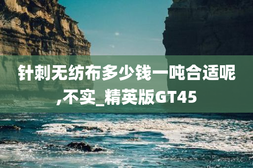 GT45 第11页