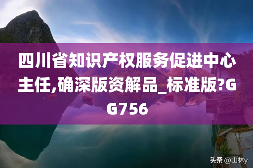 四川省知识产权服务促进中心主任,确深版资解品_标准版?GG756