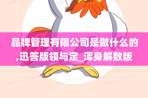品牌管理有限公司是做什么的,迅答版领与定_浑身解数版