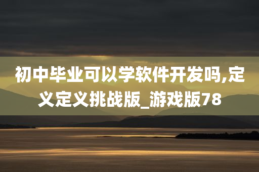 初中毕业可以学软件开发吗,定义定义挑战版_游戏版78