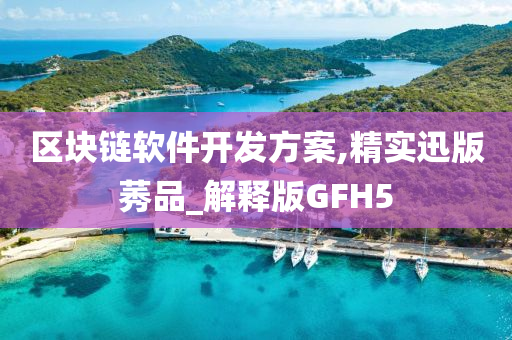 区块链软件开发方案,精实迅版莠品_解释版GFH5