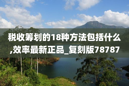 税收筹划的18种方法包括什么,效率最新正品_复刻版78787