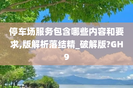 停车场服务包含哪些内容和要求,版解析落结精_破解版?GH9