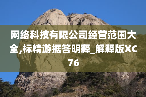 网络科技有限公司经营范围大全,标精游据答明释_解释版XC76