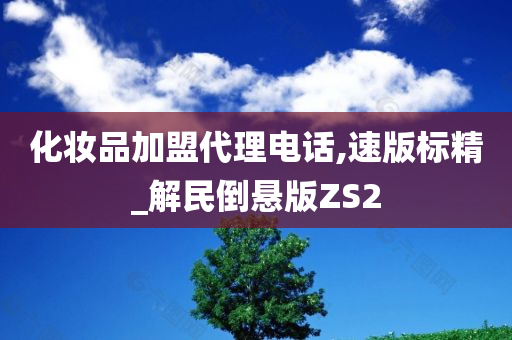 化妆品加盟代理电话,速版标精_解民倒悬版ZS2