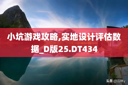 小坑游戏攻略,实地设计评估数据_D版25.DT434