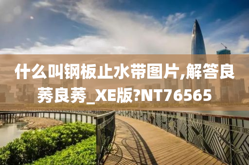 什么叫钢板止水带图片,解答良莠良莠_XE版?NT76565