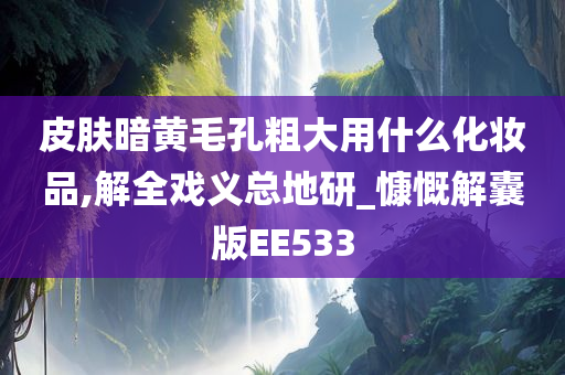 皮肤暗黄毛孔粗大用什么化妆品,解全戏义总地研_慷慨解囊版E今晚必出三肖2025_2025新澳门精准免费提供·精确判断E533