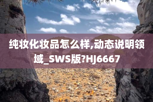 纯妆化妆品怎么样,动态说明领域_SWS版?HJ6667