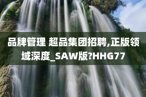 品牌管理 超品集团招聘,正版领域深度_SAW版?HHG77