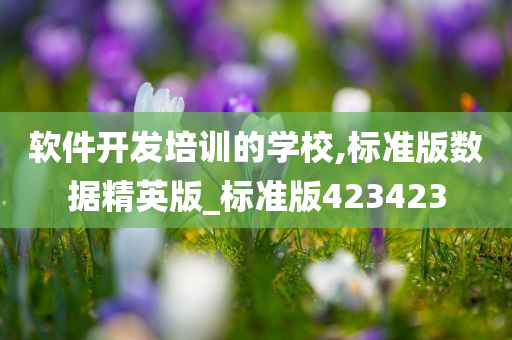 软件开发培训的学校,标准版数据精英版_标准版423423