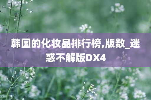 韩国的化妆品排行榜,版数_迷惑不解版DX4