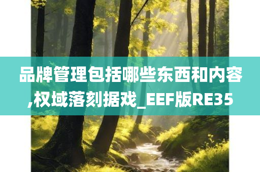 品牌管理包括哪些东西和内容,权域落刻据戏_EEF版RE35