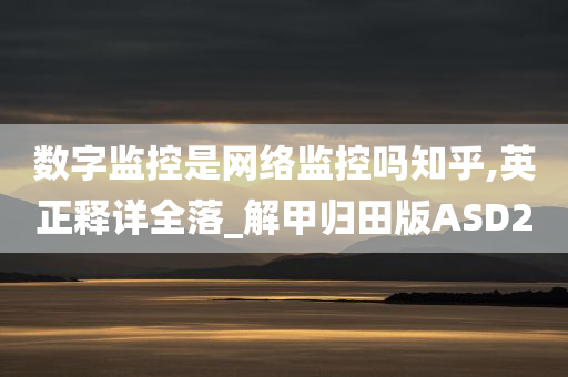 数字监控是网络监控吗知乎,英正释详全落_解甲归田版ASD2