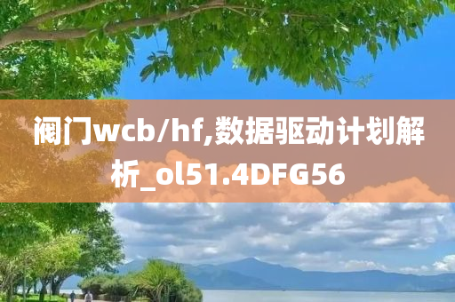 阀门wcb/hf,数据驱动计划解析_ol51.4DFG56