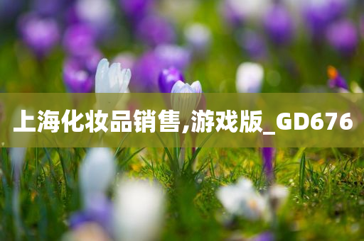 上海化妆品销售,游戏版_GD676