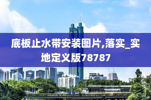 底板止水带安装图片,落实_实地定义版78787