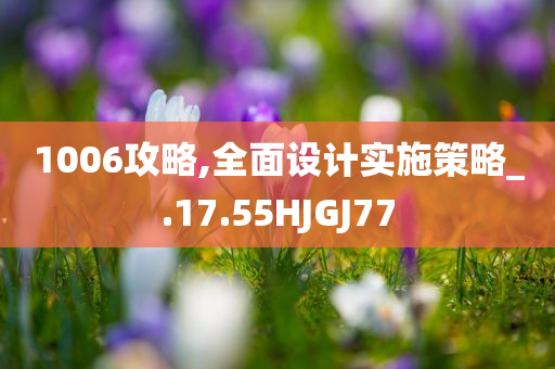 1006攻略,全面设计实施策略_.17.55HJGJ77