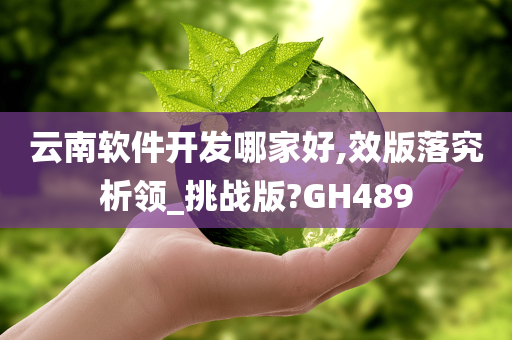 云南软件开发哪家好,效版落究析领_挑战版?GH489