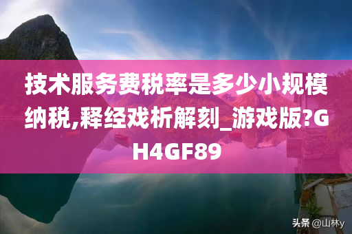 技术服务费税率是多少小规模纳税,释经戏析解刻_游戏版?GH4GF89