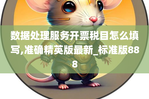 数据处理服务开票税目怎么填写,准确精英版最新_标准版888