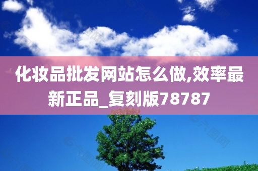 化妆品批发网站怎么做,效率最新正品_复刻版78787