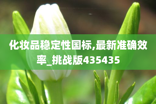 化妆品稳定性今晚必出三肖2025_2025新澳门精准免费提供·精确判断国标,最新准确效率_挑战版435435