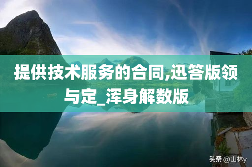 技术服务合同 第3页
