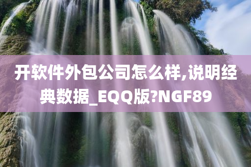 开软件外包公司怎么样,说明经典数据_EQQ版?NGF89