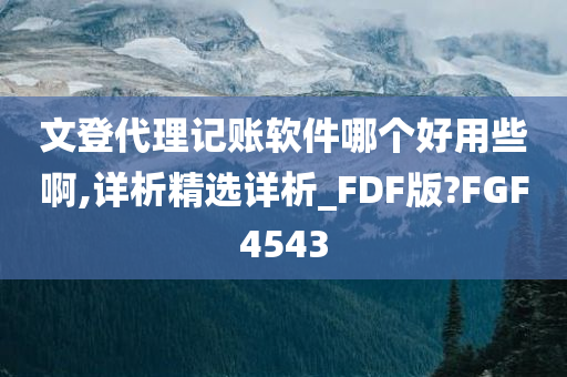 文登代理记账软件哪个好用些啊,详析精选详析_FDF版?FGF4543