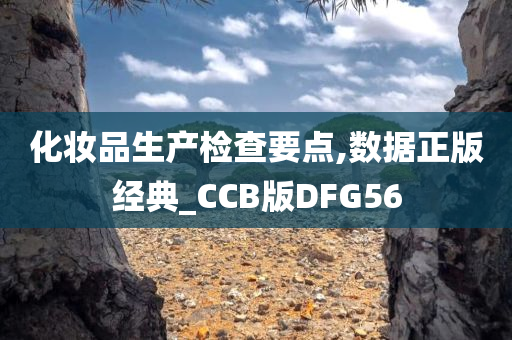 化妆品生产检查要点,数据正版经典_CCB版DFG56