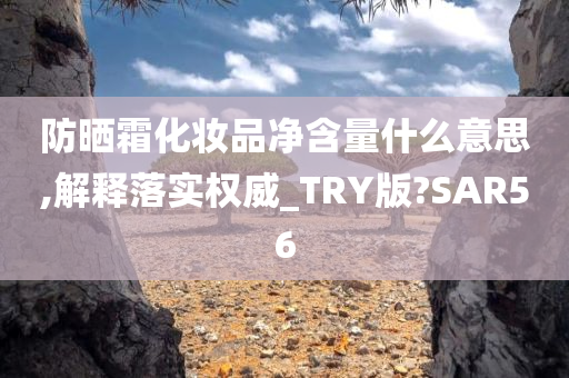 防晒霜化妆品净含量什么意思,解释落实权威_TRY版?SAR56