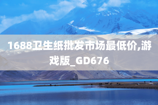 1688卫生纸批发市场最低价,游戏版_GD676