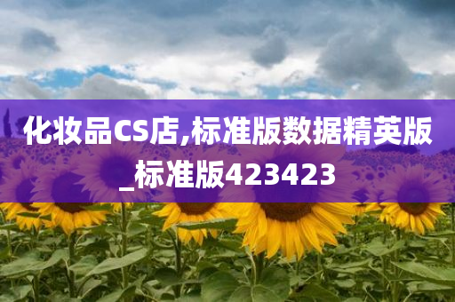 化妆品CS店,标准版数据精英版_标准版423423