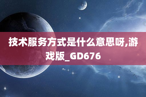 技术服务方式是什么意思呀,游戏版_GD676