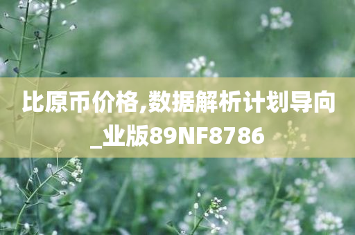比原币价格,数据解析计划导向_业版89NF8786