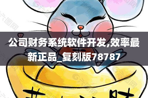 公司财务系统软件开发,效率最新正品_复刻版78787