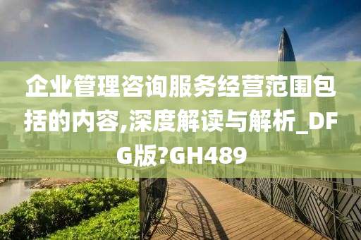 企业管理咨询服务经营范围包括的内容,深度解读与解析_DFG版?GH489
