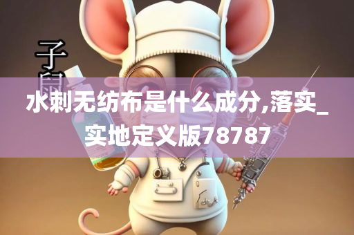 水刺无纺布是什么成分,落实_实地定义版78787
