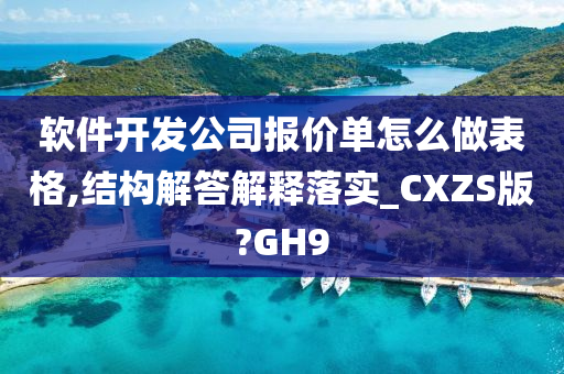 软件开发公司报价单怎么做表格,结构解答解释落实_CXZS版?GH9
