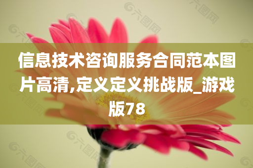 信息技术咨询服务合同范本图片高清,定义定义挑战版_游戏版78