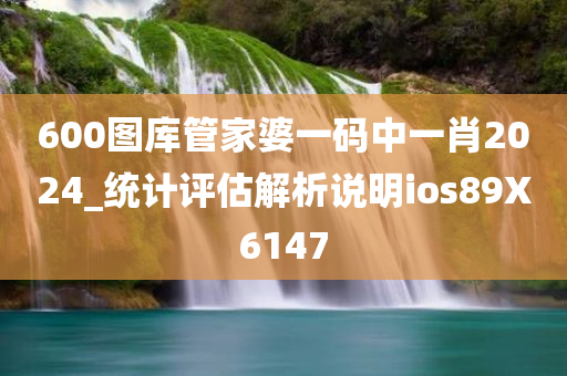 600图库管家婆一码中一肖2024_统计评估解析说明ios89X6147