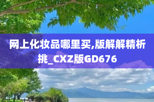 网上化妆品哪里买,版解解精析挑_CXZ版GD676