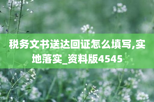 税务文书送达回证怎么填写,实地落实_资料版4545