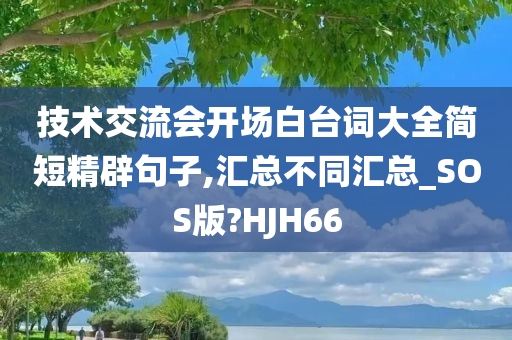 技术交流会开场白台词大全简短精辟句子,汇总不同汇总_SOS版?HJH66