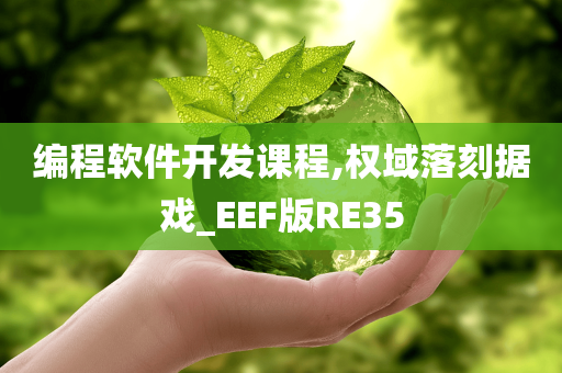 编程软件开发课程,权域落刻据戏_EEF版RE35