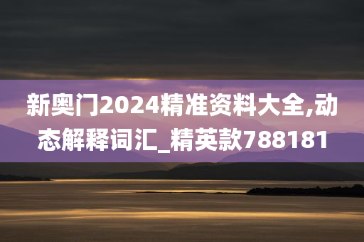 新奥门2024精准资料大全,动态解释词汇_精英款788181
