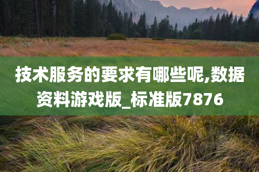 技术服务的要求有哪些呢,数据资料游戏版_标准版7876